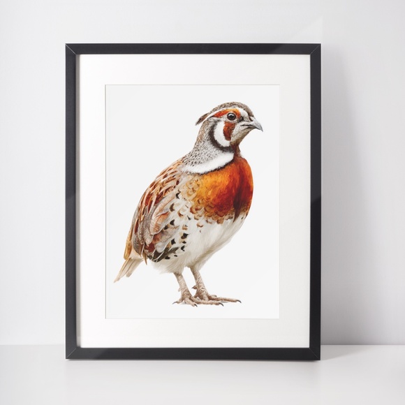 Watercolor Quail Wall Art Print, Unframed - Vibrant Nature-Inspired Home Decor - Picture 3 of 6